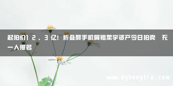 起拍价12.3亿！折叠屏手机鼻祖柔宇资产今日拍卖 无一人报名